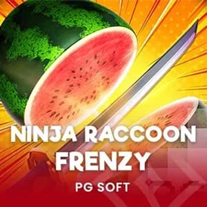 Ninja Racoon Frenzy